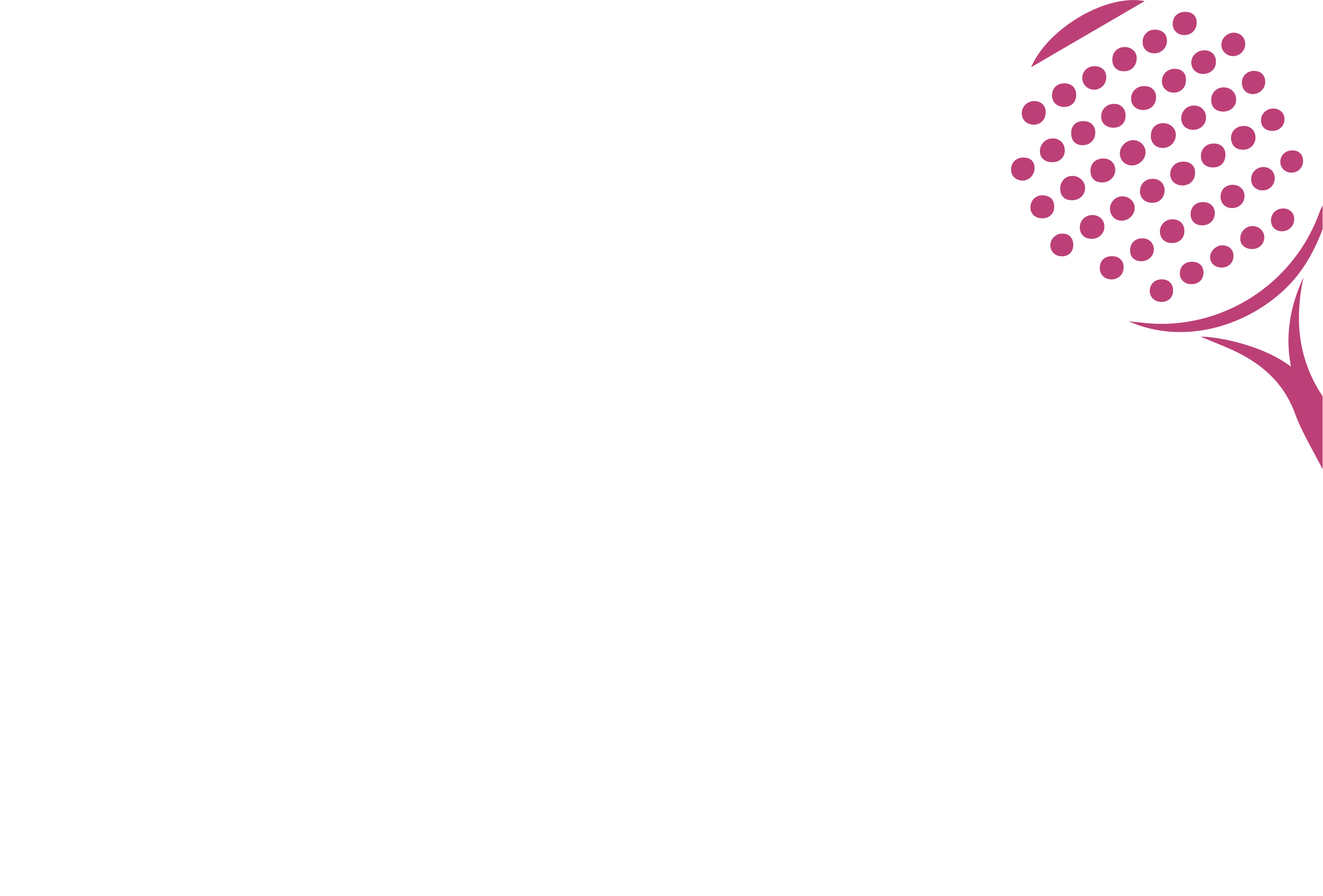 AVL Sports Courts